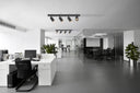 Crest IP65 Surface Mount Spotlight