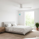 Fresno DC 52″ Smart Ceiling Fan With WIFI Remote Control