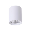Paco LED surface mount downlight WHite 