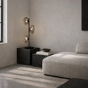 Zecca Black Smoke in a Modern living room with a gray sofa, decorative lamp, and concrete planters.