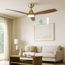 Martec Triumph DC 52″ Smart Ceiling Fan With WIFI Remote Control + LED light from lights and fans online in a living room with a remote control and light fixture.